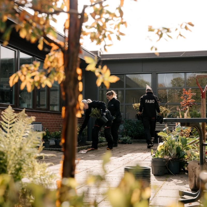  Tre medarbetare från Fabo arbetar tillsammans med trädgårdsskötsel och plantering på en solig innergård, vilket belyser gemenskapen och omsorgen om utemiljöerna.