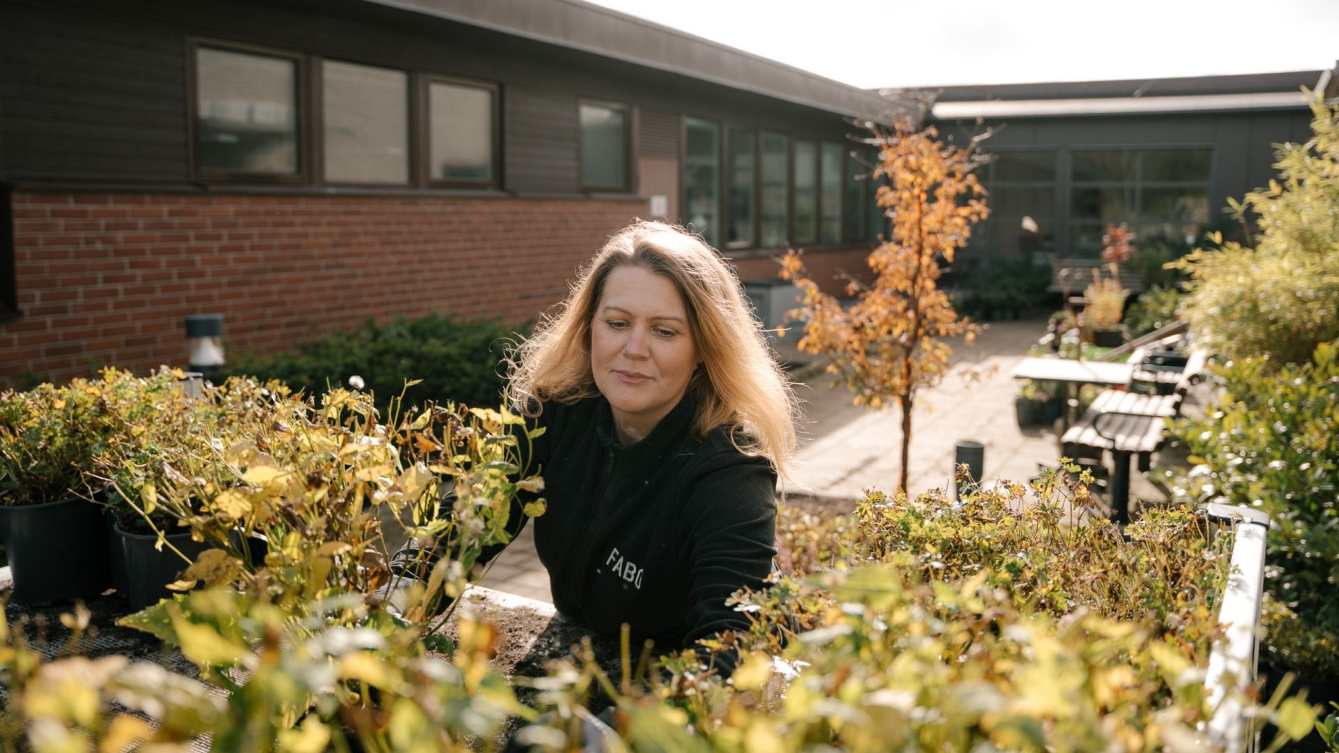 En medarbetare från Fabo arbetar med plantering och trädgårdsskötsel i ett soligt bostadsområde, vilket visar företagets fokus på välskötta utemiljöer.